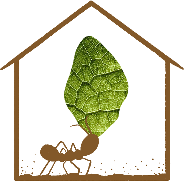 COMPOSTA EN CASA Cascara Compost