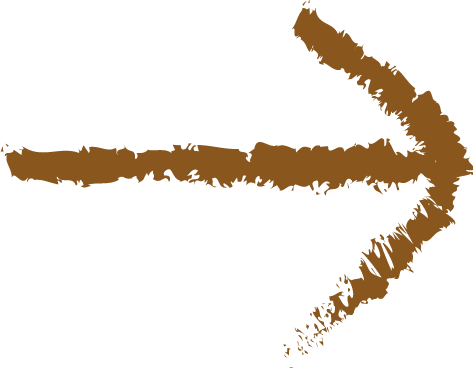 FLECHA Cascara Compost