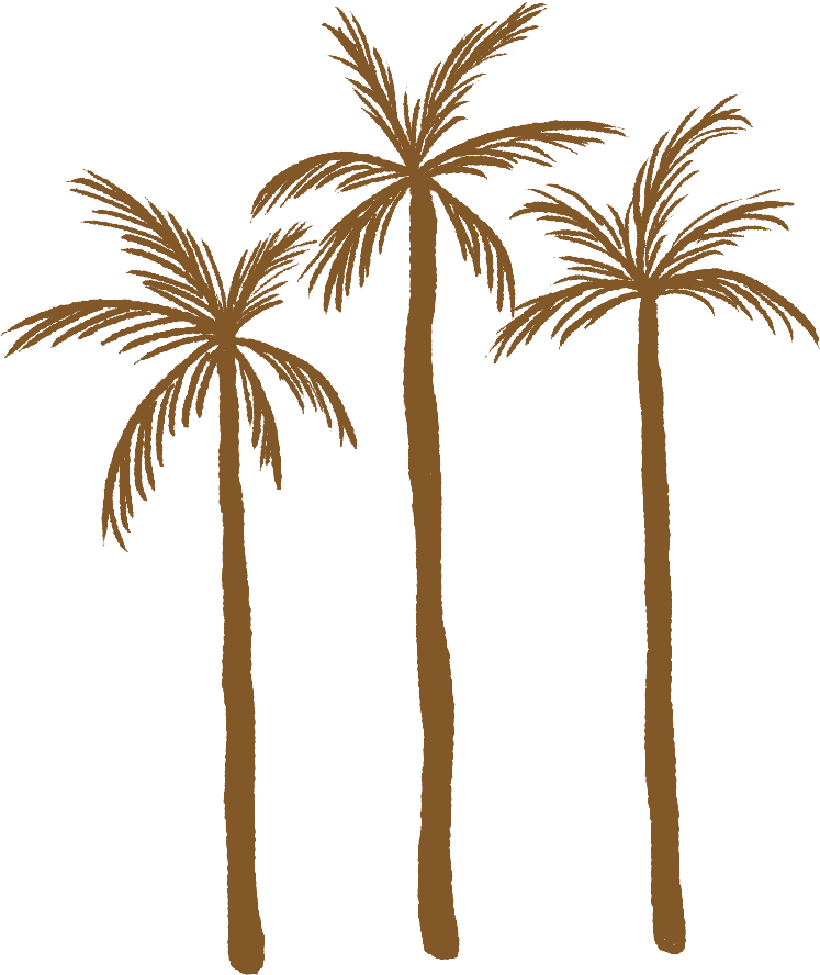 PLAN BOSQUE Cascara Compost